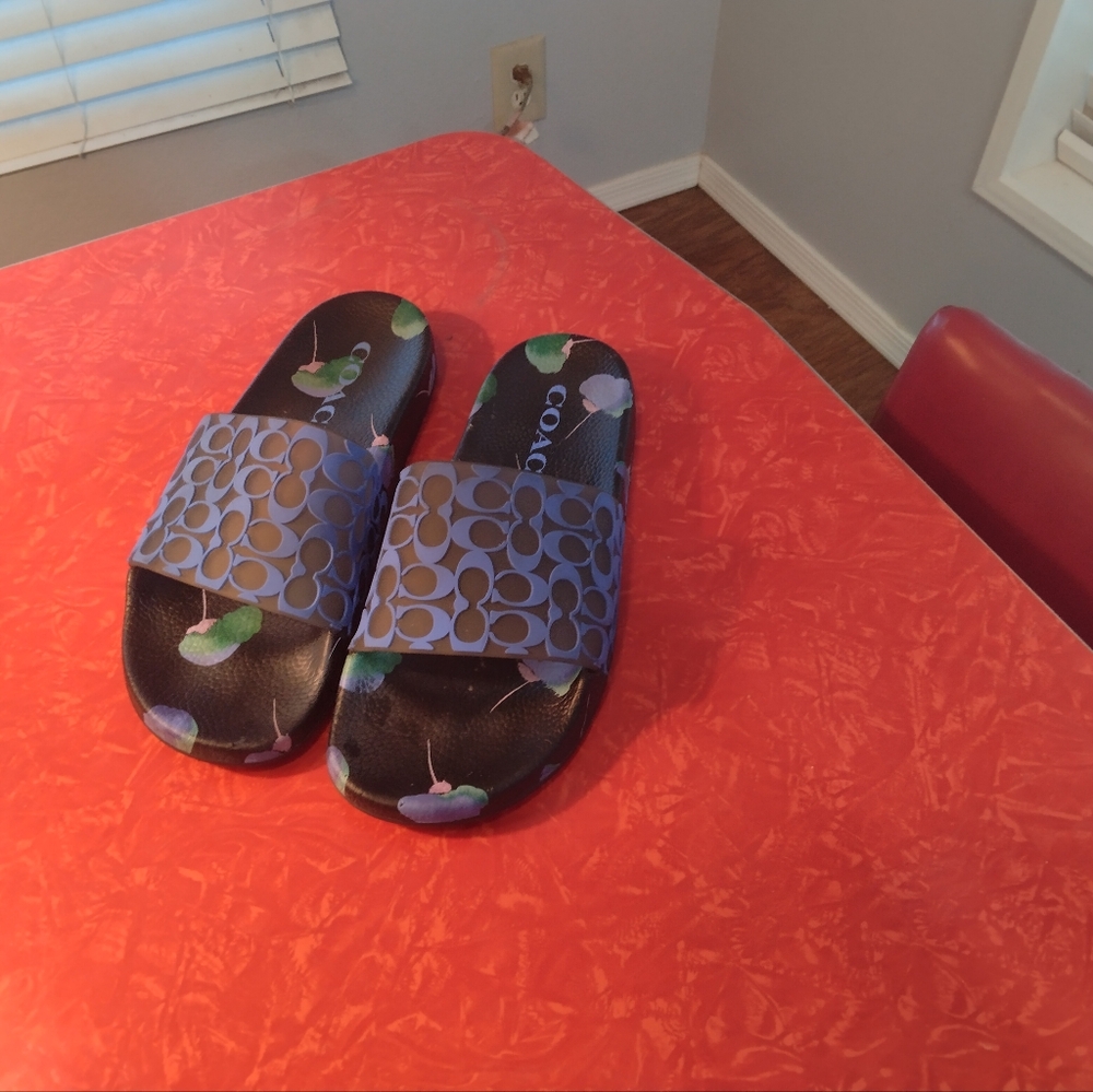 Coach Black and Blue Udele Slides